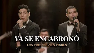 Enrique Iglesias, Juan Luis Guerra - Cuando Me Enamoro | PARODIA "Ya se encabronó"