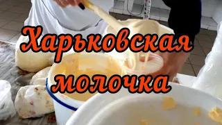 Харьков 🇺🇦Сколько стоят яйца и домашние молочные продукты на рынке. 26 октября 2022.