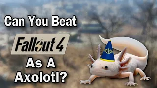 Can You Beat Fallout 4 As A Axolotl?