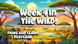 Surviving Week 4: Adventures in the Wild!