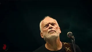 David Gilmour - Comfortably Numb - Live in Nîmes 2016