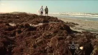 Seaweed Man (Texas Country Reporter)