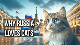 Why Russia Loves Cats