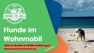 Hunde im Wohnmobil. Geht es Hunden im WoMo wirklich gut?