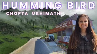Chopta Ukhimath - A Beautiful Hill Station in Uttarakhand - Humming Bird Cafe for Best Food