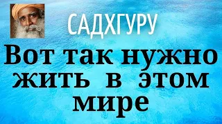 Садхгуру - Вот так нужно жить в этом мире.