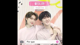 [Stray Kids: SKZ-RECORD] Changbin, Felix "좋으니까 "/'Cause I Love You'/  "Por que te amo"(sub. español)