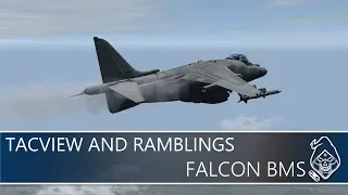FALCON BMS: TACVIEW AND RAMBLINGS