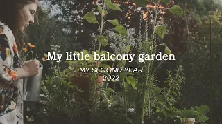 My little Balcony Garden – My second Year (2022) 🌱🍓🥬