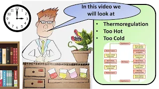 GCSE Biology Control of Body Temperature Revision