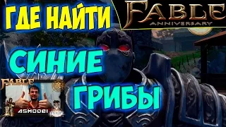 Fable Anniversary. ЭТО ГРИБЫ. Где найти синие грибы