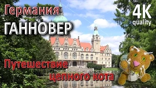 Ганновер. Германия. Нижняя Саксония. Путешествие цепного кота