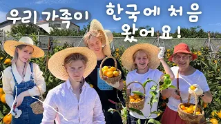 [VLOG] #한국여행 노르웨이 가족이 한국에 처음 왔어요!!ㅣMy family visits me in Korea ✈️🇳🇴
