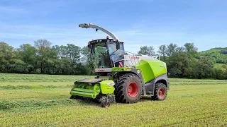 SENÁŽ RAŽE 🌾 | RYE SILAGE 🌾 | Claas Jaguar, John Deere, Zetor