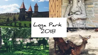 Парк «Лога», лето 2018/ Loga Park Adventures