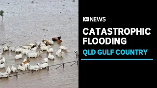 Emergency operations continue after flood at Gulf of Carpentaria | ABC News