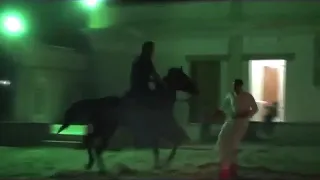 مالك الهزاع  - تدريب الحصان على مكافحة الشغب - الخيل العربي