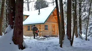 Dying Maple Leans Over the Cabin...I Tried to Bring it Down. / Ep112 / Outsider Cabin Build