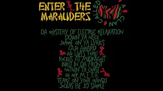 Wu-Tang Clan vs ATCQ - A Clan Called Wu : Enter the Marauders OFFICIAL (SHORT VERSION)