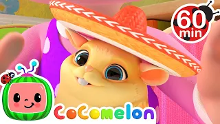 Class Pet Sleepover 1 HOUR COMPILATION | Animal Time | CoComelon Nursery Rhymes & Kids Songs