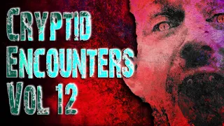 Cryptid Encounters Volume 12 | Featuring Timesix