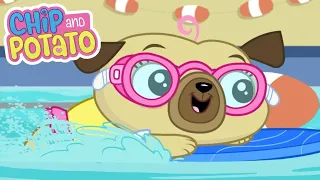 Chip and Potato  | Chip and the Big Splash | Cartoons For Kids | Watch More on Netflix