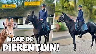 Ik ga met mijn PAARD naar de DIERENTUIN! 😱🦒