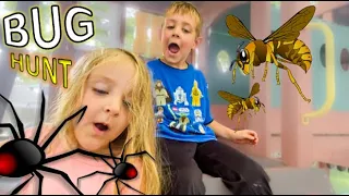 BUG HUNT for REAL BUGS!! Spiders, Cockroaches, WASP, Roly Polys, FROG, Fire Ants and MORE FOR KIDS!!