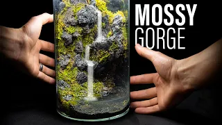 Moss Gorge Waterfall In a Jar