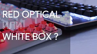 Сравнение Zet Blade Pro kailh RED OPTICAL и WHITE BOX! Что же выбрать?