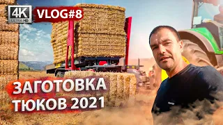 Заготовка сена и соломы в тюках. Чистка каналов. Алексей Васильченко | VLOG #8