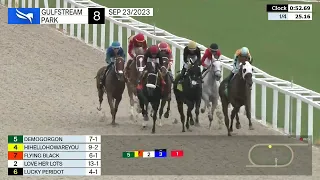 Gulfstream Park Carrera 8 - 23 de Septiembre 2023