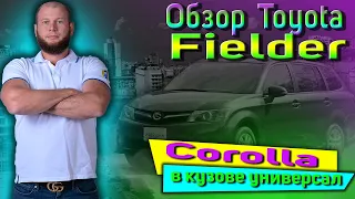 Обзор Toyota Corolla Fielder