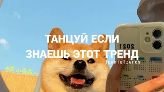 Танцуй если знаешь этот тренд 💓🐶 | JennieTrends