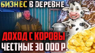 Заработать в деревне. Содержание коровы, как бизнес в деревне. Доход с коровы.