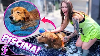 UM DIA NA PISCINA COM MEU CACHORRO! - Fran Japa