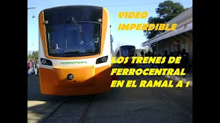 EL TREN DE FERROCENTRAL EN EL RAMAL A 1