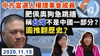 分析特朗普特赦自己的奸計！中方當選人權理事會成員👏🏻美震怒亂吠🤣肥佩奧狂言「台不是中國一部分」？解開特政府圖推翻歷史背後真相！｜Y2K 大樹與木頭｜2020.11.15