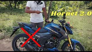 Hornet 2 0 Biggest Disadvantages. |pros and cons|