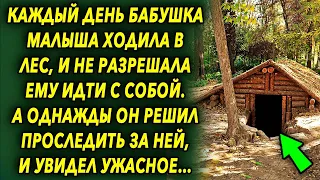 Каждый день бабушка малыша ходила в лес, и не разрешала ему идти с собой. А однажды он решил…