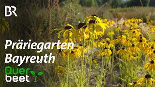 Präriegarten im Ökologisch-Botanischen Garten Bayreuth