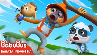 Owa Butuh Bantuan dari Kiki Miumiu | Tim Penyelamat Super | Kartun Anak | BabyBus Bahasa Indonesia