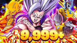 9,999+ STONES!!! LR BEAST GOHAN & LR GAMMA 1 & GAMMA 2 SUMMONS!! (DBZ: Dokkan Battle)