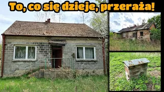 Niepokojące zjawisko! Polska wieś wyludnia się coraz szybciej! Smutne historie opuszczonych domów.