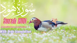 Surah HUD |by ayyan Abbasi |with Urdu translation verse 35 _90سورۃ ھود