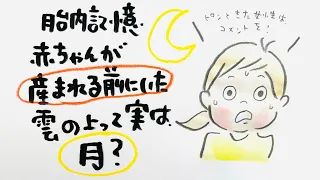 胎内記憶　人間は、月からママのおなかに入ってきた説⁉️😳