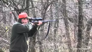 WILD BOAR DRIVEN HUNT IN HUNGARY IV.