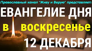 Евангелие дня. 12 декабря 2021. Чтение от Луки