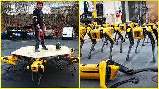Robot Dog Spot: What Futuristic Things Can it ACTUALLY Do? (Boston Dynamics)