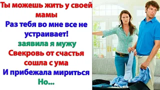 До того, как Вы влезли в нашу семью с советами, мы прожили вместе 10лет! напомнила невестка свекрови